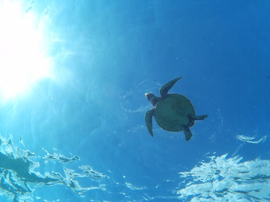 Ocean Villa Honey Miyakojima  Bagian luar foto